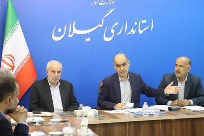 خبر خوش برای صنعت چای/ صادرات مستقیم به صاحبان کارخانه&zwnj;ها واگذار شد