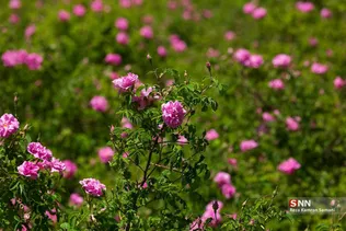 546546