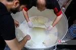 تربیت مدرس