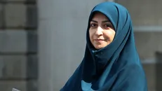 انصاری: سازمان‌های مردم‌نهاد جزء جدایی‌ناپذیر فعالیت‌های محیط‌زیستی در کشور هستند
