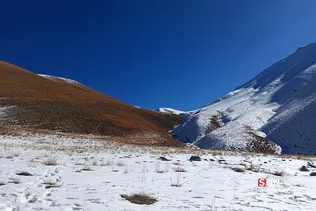 برف