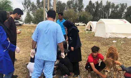 واکسیناسیون دام&zwnj;های منطقه سیل&zwnj;زده شعیبیه در حال انجام است