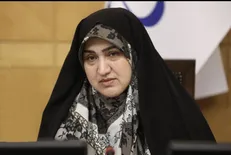 رئیس فراکسیون محیط زیست مجلس: همچنان بزرگ‌ترین و مهم‌ترین عامل آلودگی هوا منابع متحرک است