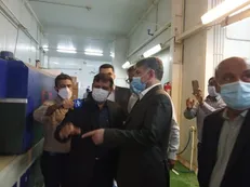 ساداتی نژاد: استان بوشهر ظرفیت توسعه ۱۰ برابری در حوزه پرورش میگو دارد