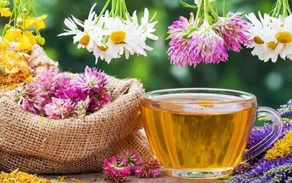آیا غذا&zwnj;های طبع گرم سیستم ایمنی را تقویت می&zwnj;کند؟