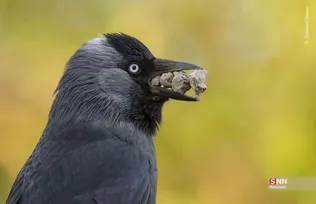 656546