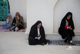 دبب
