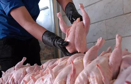 برخورد قانونی با گرانفروشی مرغ