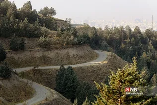 آلودگی هوای تهران