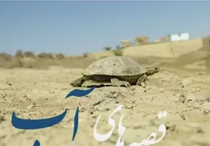 قصه‌های آب افقی شد