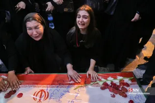 دبب