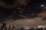 دبب