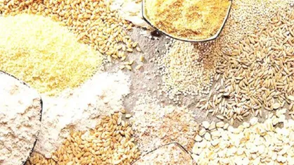 اسدیان: بحران تأمین نهاده&zwnj;های دامی نتیجه انحصارگرایی در واردات است + فیلم