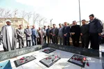 دانشگاه