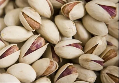 دفاع رئیس اتحادیه آجیل از قیمت ۲۰۰ هزار تومانی پسته