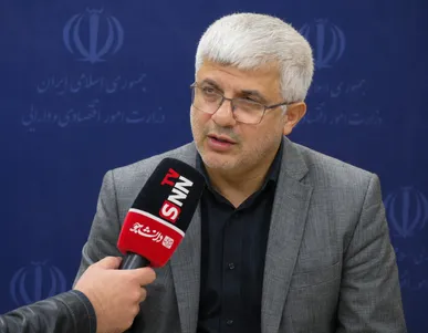۶۰۰ هزار تن گندم از کشاورزان گلستان خریداری شد 