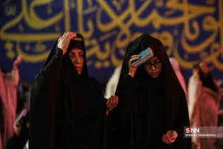دبب